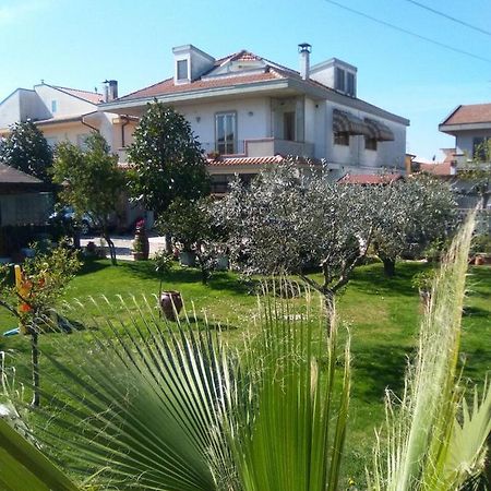 Le Magnolie B&B Roseto Degli Abruzzi Eksteriør billede